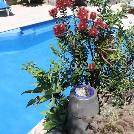 Snells Beach Motel Kültér fotó