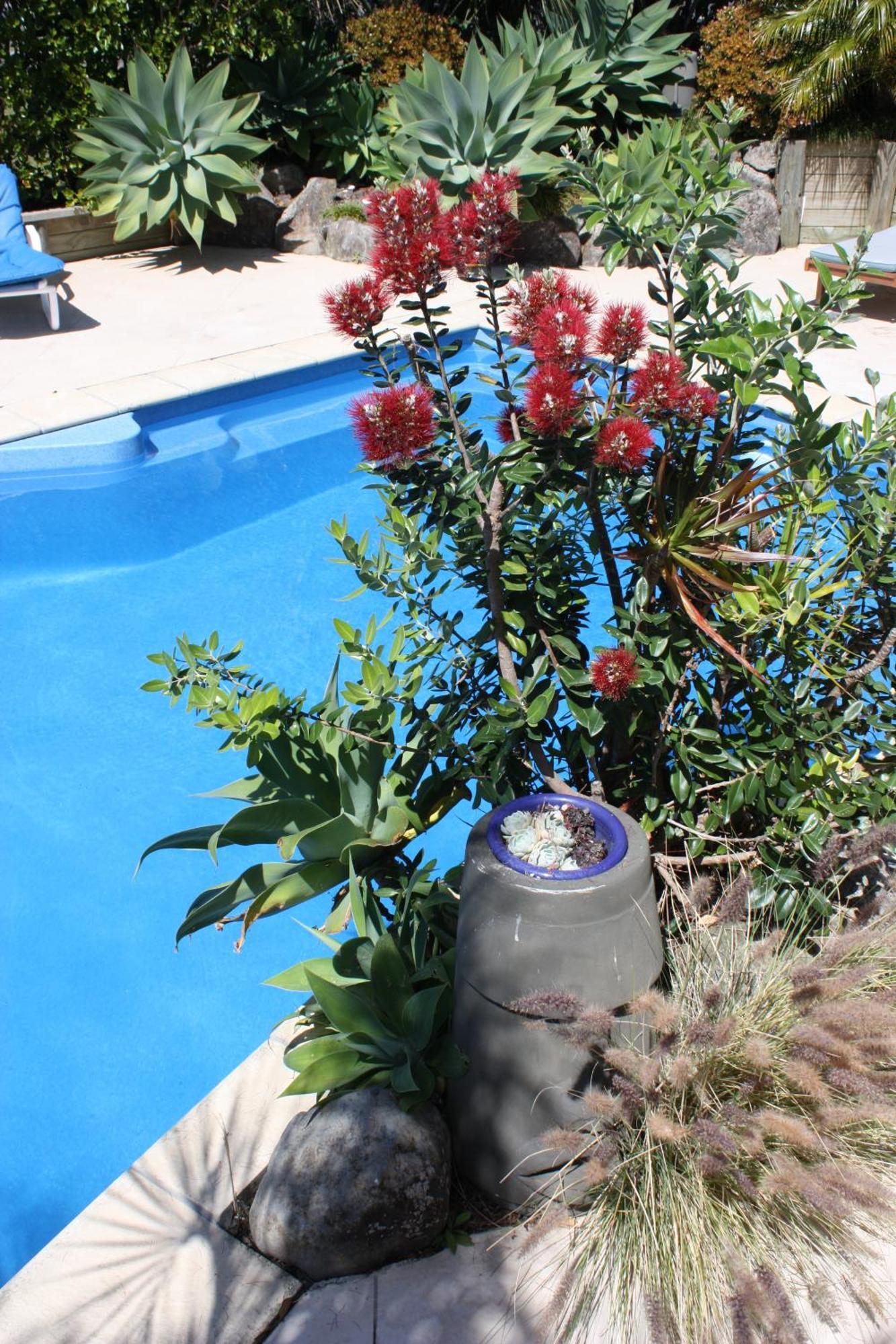 Snells Beach Motel Kültér fotó